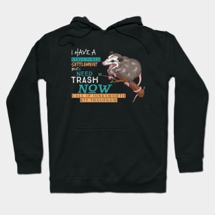 877-TRASHNOW Possum Hoodie